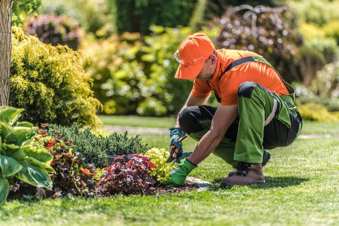 Un jardinier paysagiste